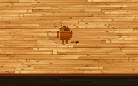 Android Google Wall Wallpaper