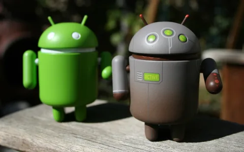 Android Robot Duo Wallpaper