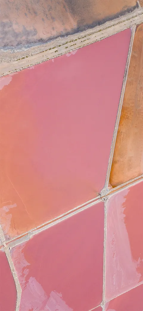 Asus Zenfone 6