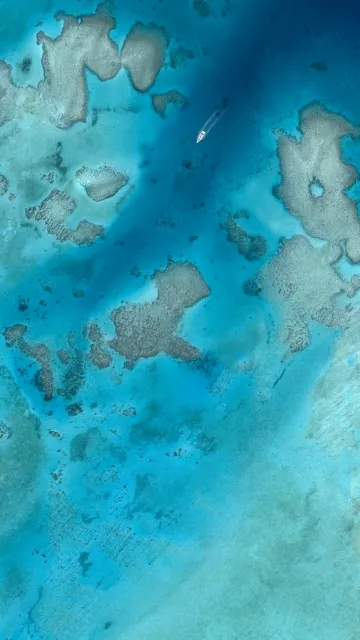 Google Pixel 3 Wallpaper 8