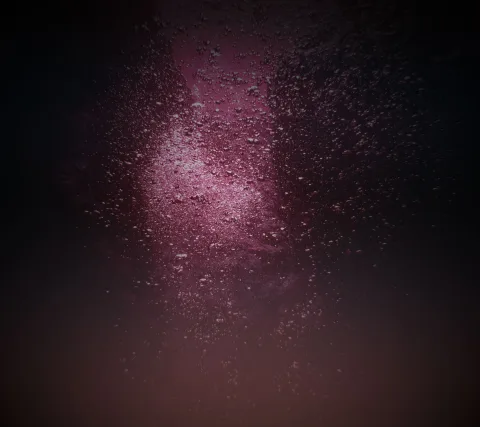 Sony Xperia XA2