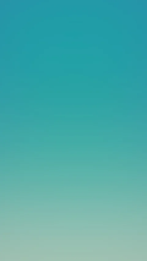 Xiaomi Mi 6