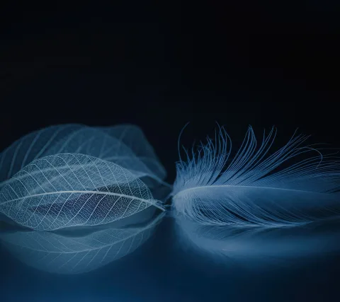 ZTE Axon M