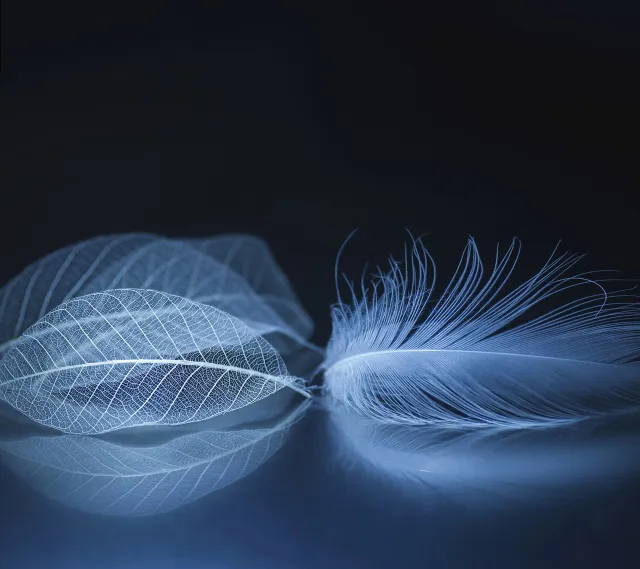 ZTE Axon M