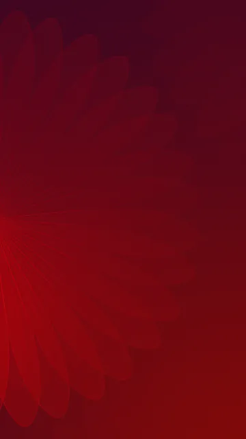 ZTE Nubila Z11