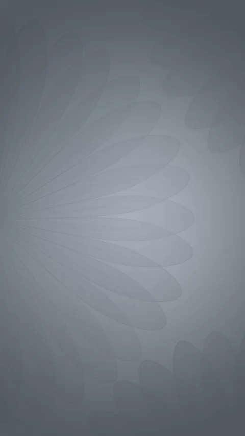 ZTE Nubila Z11