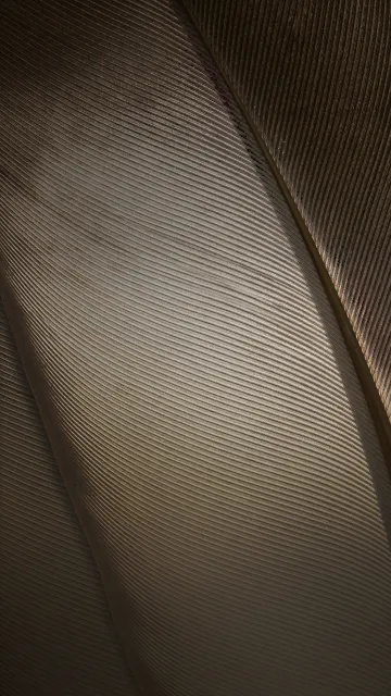 ZTE Nubila Z11