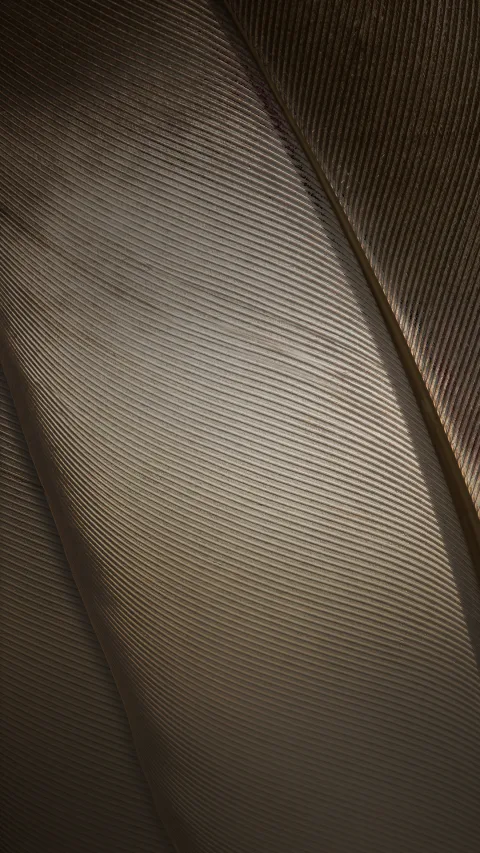 ZTE Nubila Z11