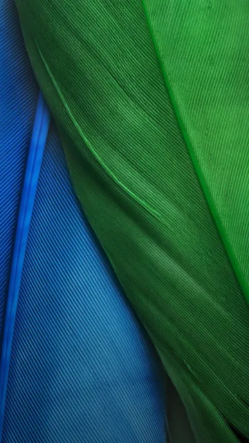 ZTE Nubila Z11