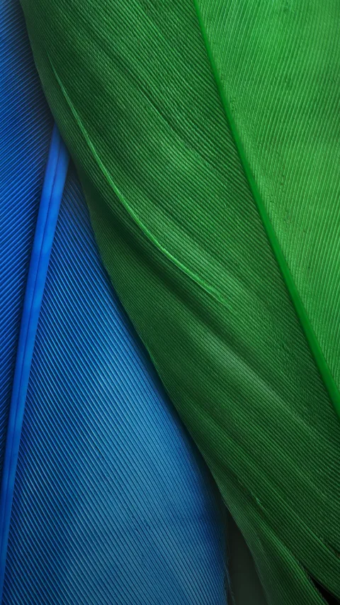 ZTE Nubila Z11